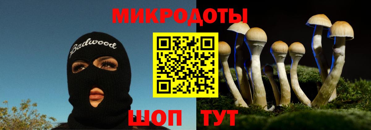 Галлюциногенные грибы мухоморы  Псилоцибиновые грибы мухоморы  Вход с VPN  где найти наркотики  Кировск 